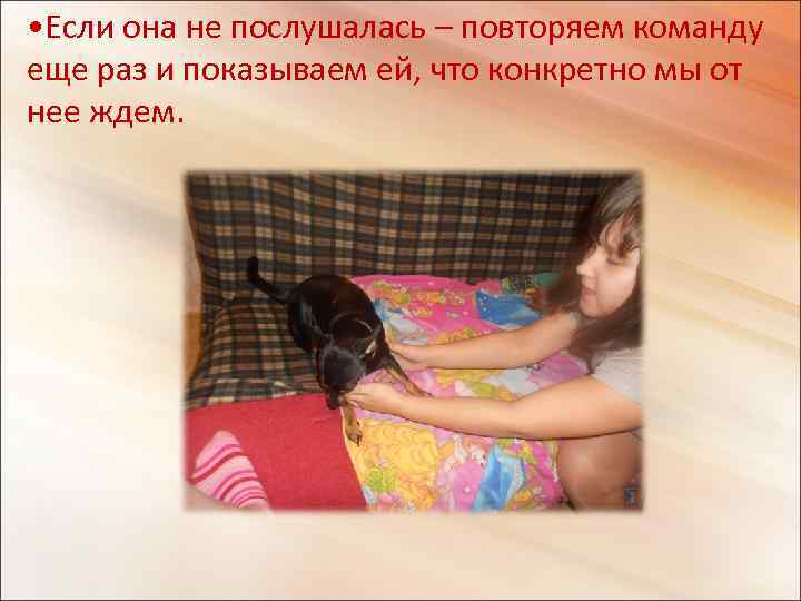  • Если она не послушалась – повторяем команду еще раз и показываем ей,