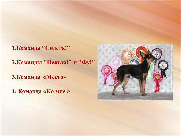 1. Команда "Сидеть!" 2. Команды "Нельзя!" и "Фу!" 3. Команда «Место» 4. Команда «Ко