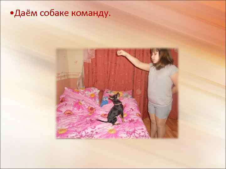  • Даём собаке команду. 