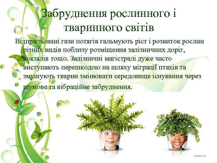 Забруднення рослинного і тваринного світів Відпрацьовані гази потягів гальмують ріст і розвиток рослин різних