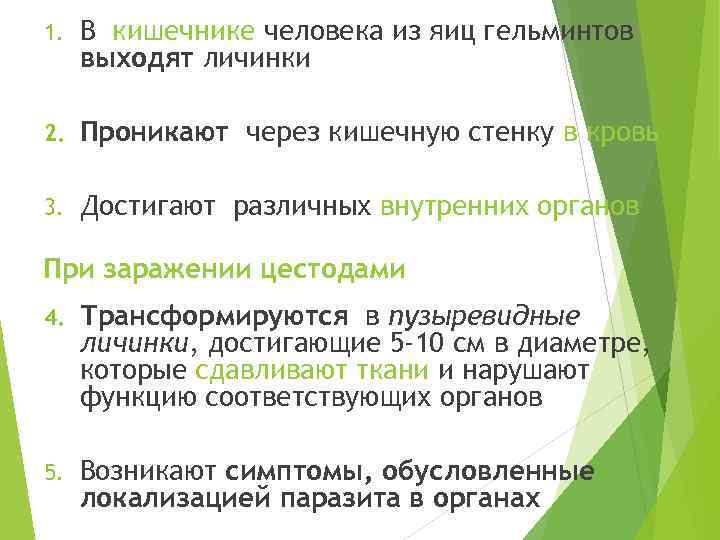 1. В кишечнике человека из яиц гельминтов выходят личинки 2. Проникают через кишечную стенку