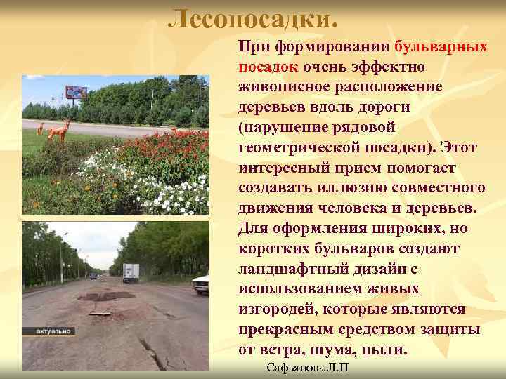 Лесопосадки. При формировании бульварных посадок очень эффектно живописное расположение деревьев вдоль дороги (нарушение рядовой