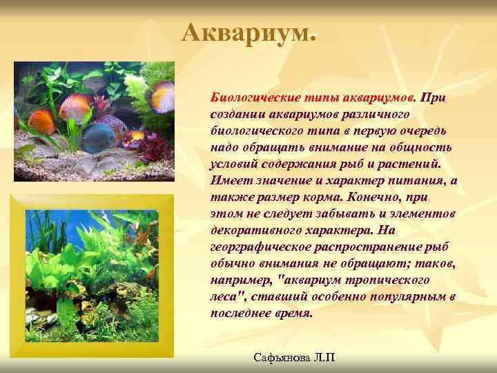 Аквариум. Биологические типы аквариумов. При создании аквариумов различного биологического типа в первую очередь надо