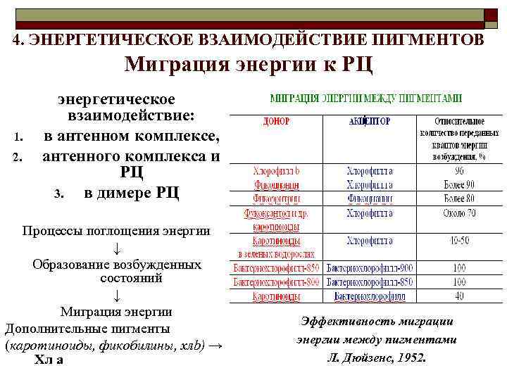 4. ЭНЕРГЕТИЧЕСКОЕ ВЗАИМОДЕЙСТВИЕ ПИГМЕНТОВ Миграция энергии к РЦ 1. 2. энергетическое взаимодействие: в антенном