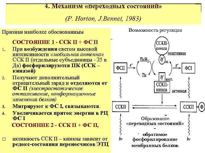 4. Механизм «переходных состояний» (P. Horton, J. Bennet, 1983) Признан наиболее обоснованным Возможность регуляции