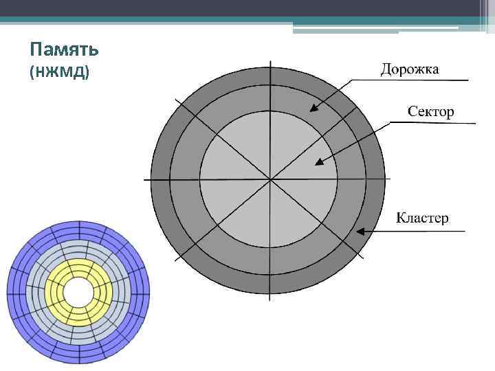 Память (НЖМД) 