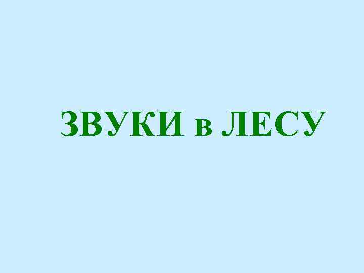 ЗВУКИ в ЛЕСУ 