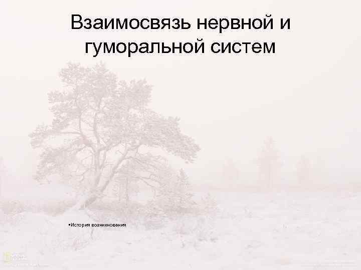 Взаимосвязь нервной и гуморальной систем • История возникновения 