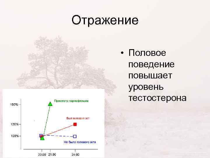 Отражение • Половое поведение повышает уровень тестостерона 