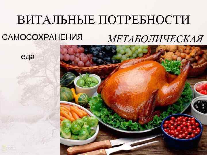 ВИТАЛЬНЫЕ ПОТРЕБНОСТИ САМОСОХРАНЕНИЯ еда МЕТАБОЛИЧЕСКАЯ 