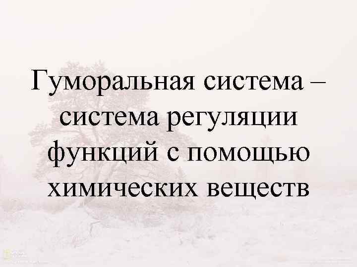 Гуморальная система – система регуляции функций с помощью химических веществ 