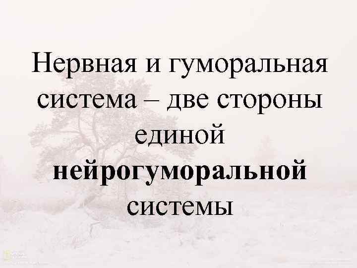 Нервная и гуморальная система – две стороны единой нейрогуморальной системы 