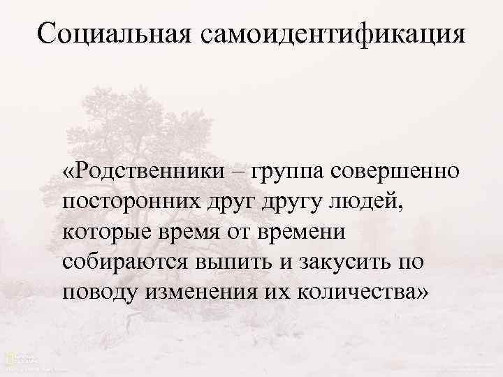 Социальная самоидентификация «Родственники – группа совершенно посторонних другу людей, которые время от времени собираются