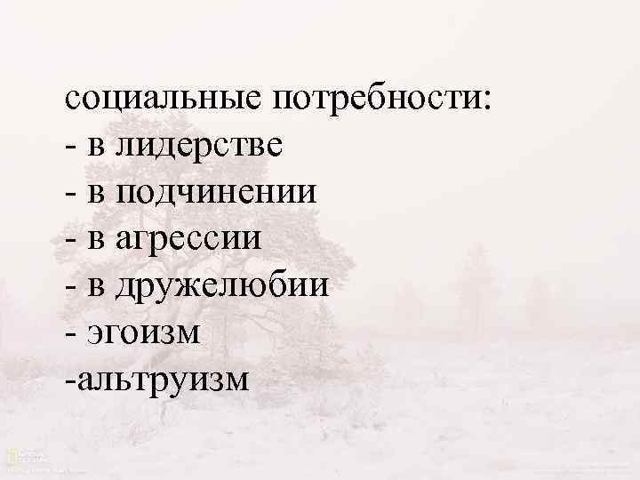 социальные потребности: - в лидерстве - в подчинении - в агрессии - в дружелюбии