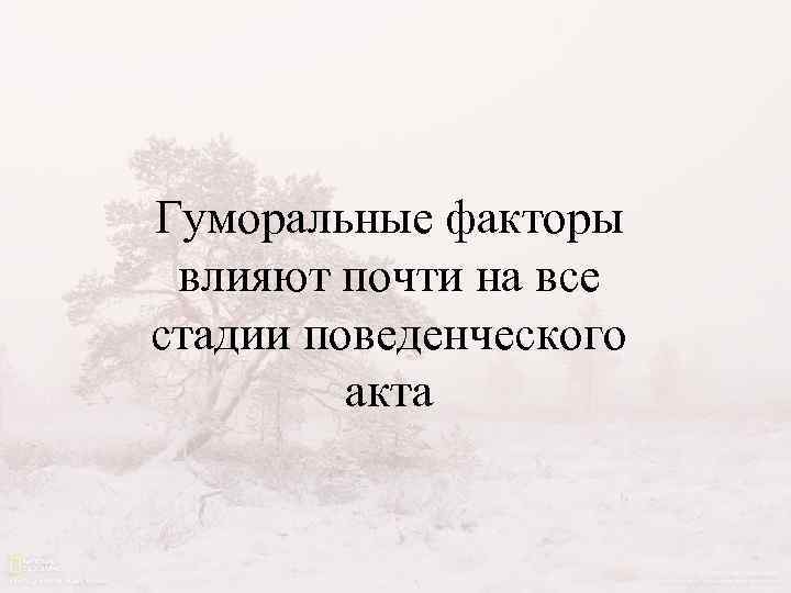 Гуморальные факторы влияют почти на все стадии поведенческого акта 