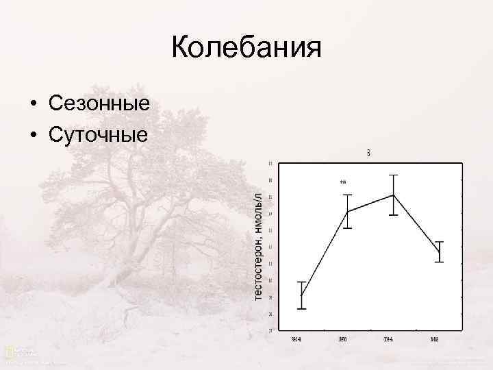 Колебания • Сезонные • Суточные 