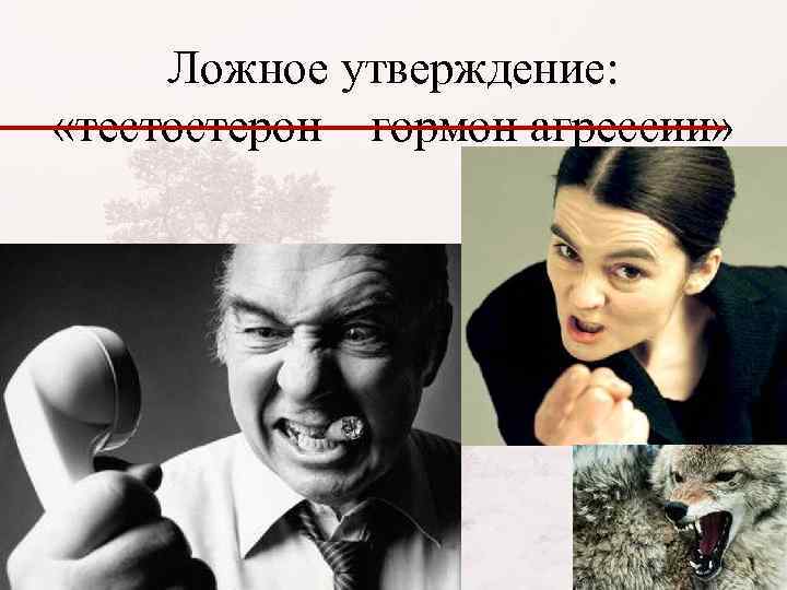 Ложное утверждение: «тестостерон – гормон агрессии» 