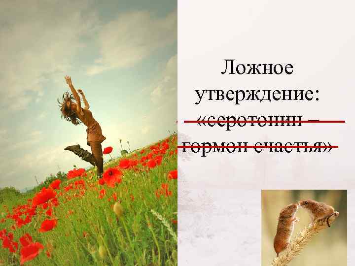 Ложное утверждение: «серотонин – гормон счастья» 