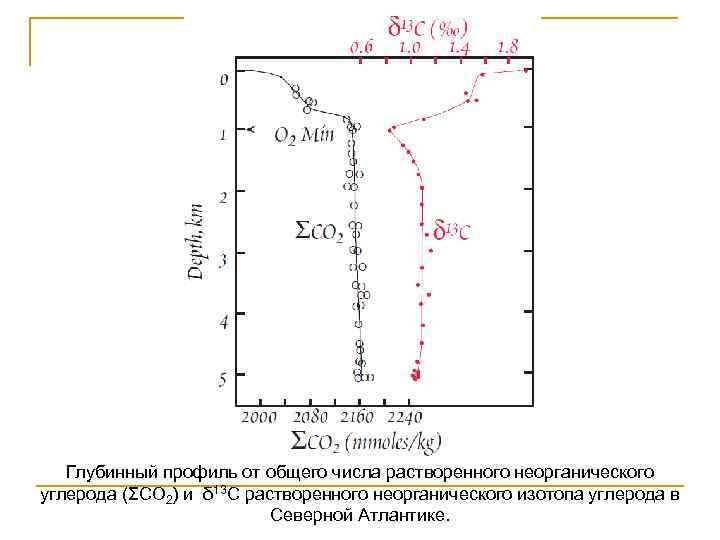 Глубинный профиль от общего числа растворенного неорганического углерода (ΣCO 2) и δ 13 C