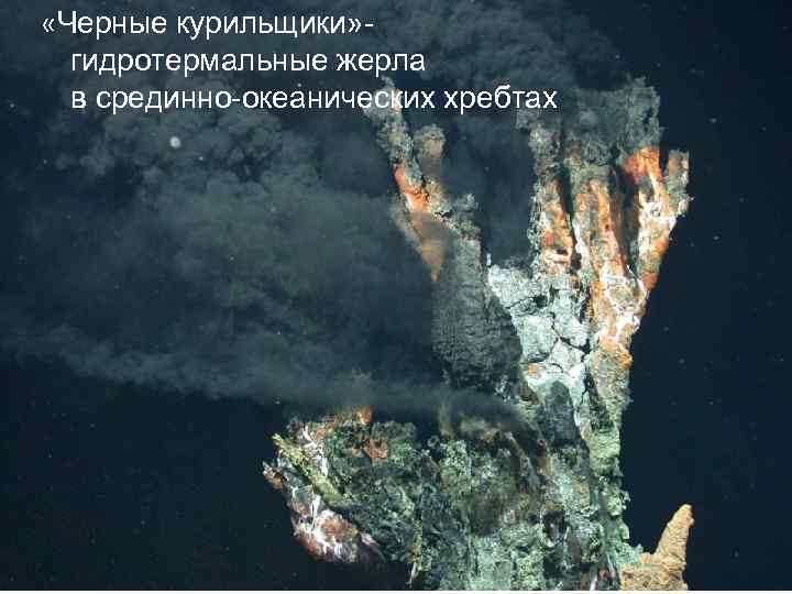  «Черные курильщики» гидротермальные жерла в срединно-океанических хребтах 