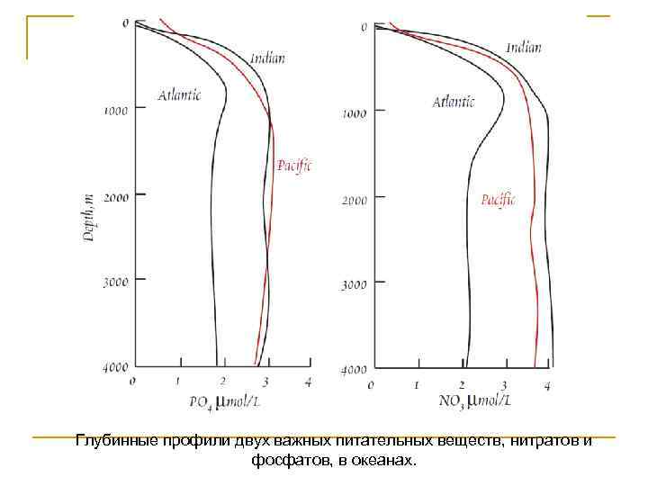 Глубинные профили двух важных питательных веществ, нитратов и фосфатов, в океанах. 