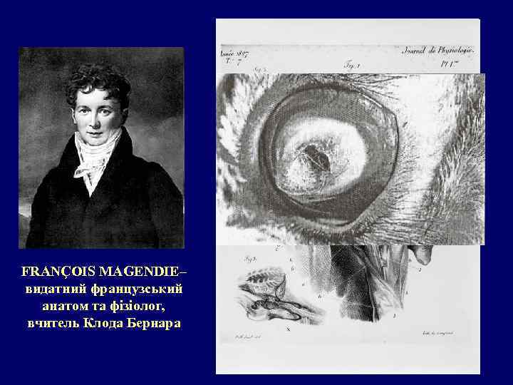 FRANÇOIS MAGENDIE– видатний французський анатом та фізіолог, вчитель Клода Бернара 