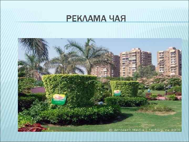 РЕКЛАМА ЧАЯ 
