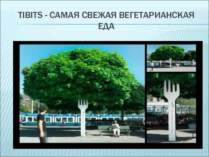 TIBITS - САМАЯ СВЕЖАЯ ВЕГЕТАРИАНСКАЯ ЕДА 