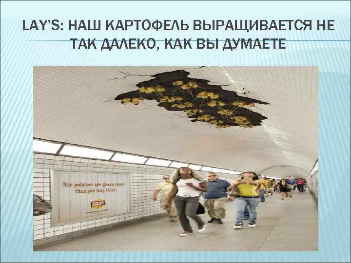 LAY’S: НАШ КАРТОФЕЛЬ ВЫРАЩИВАЕТСЯ НЕ ТАК ДАЛЕКО, КАК ВЫ ДУМАЕТЕ 