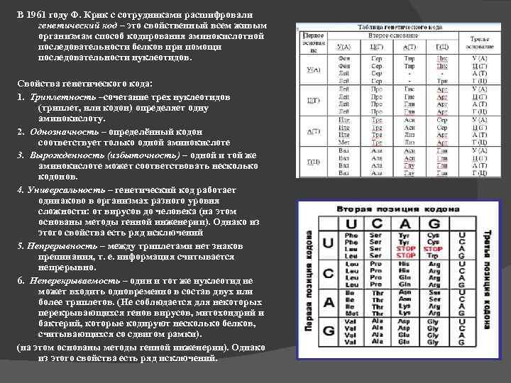 В 1961 году Ф. Крик с сотрудниками расшифровали генетический код – это свойственный всем