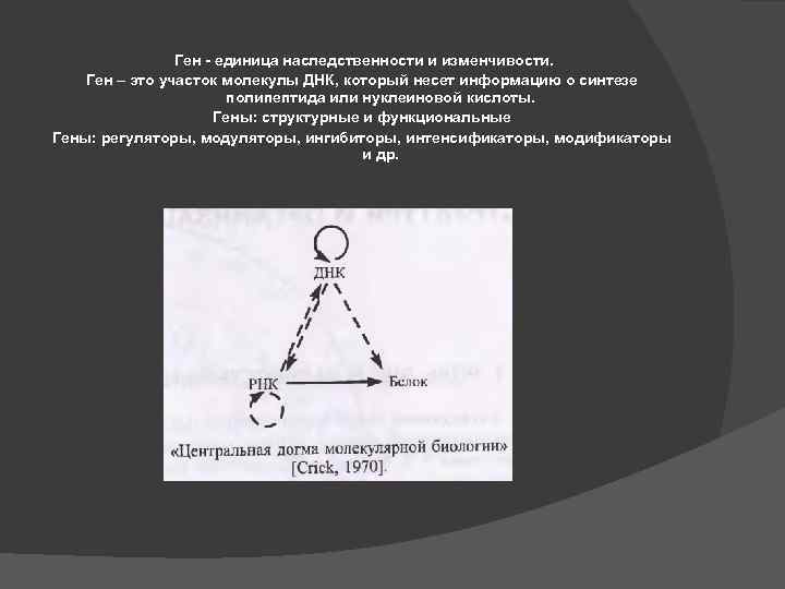 Ген - единица наследственности и изменчивости. Ген – это участок молекулы ДНК, который несет