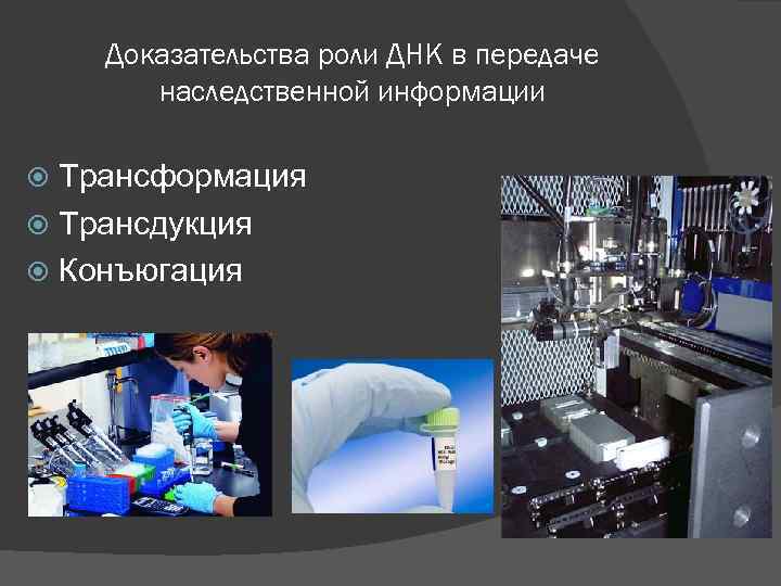 Доказательства роли ДНК в передаче наследственной информации Трансформация Трансдукция Конъюгация 
