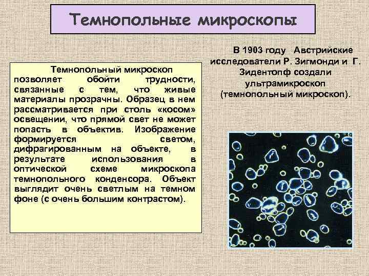 Темнопольные микроскопы Темнопольный микроскоп позволяет обойти трудности, связанные с тем, что живые материалы прозрачны.