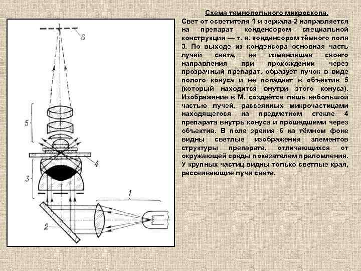 Схема лучей в микроскопе