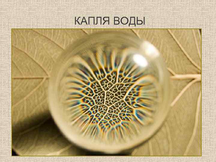 КАПЛЯ ВОДЫ 