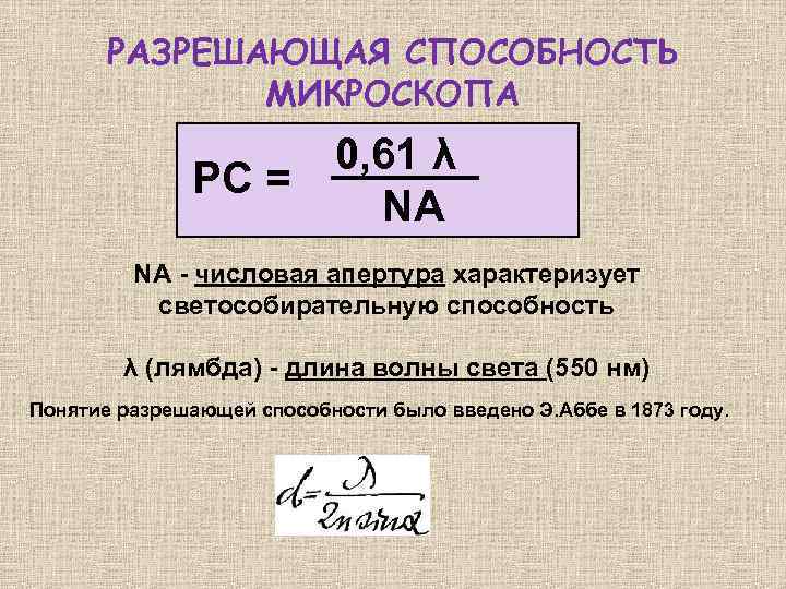 РАЗРЕШАЮЩАЯ СПОСОБНОСТЬ МИКРОСКОПА РС = 0, 61 λ NA NA - числовая апертура характеризует