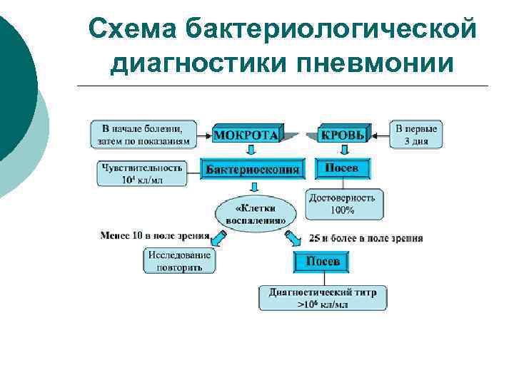 Схема бактериологической диагностики пневмонии 