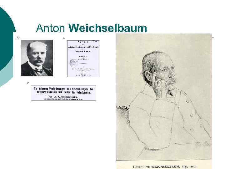 Anton Weichselbaum 