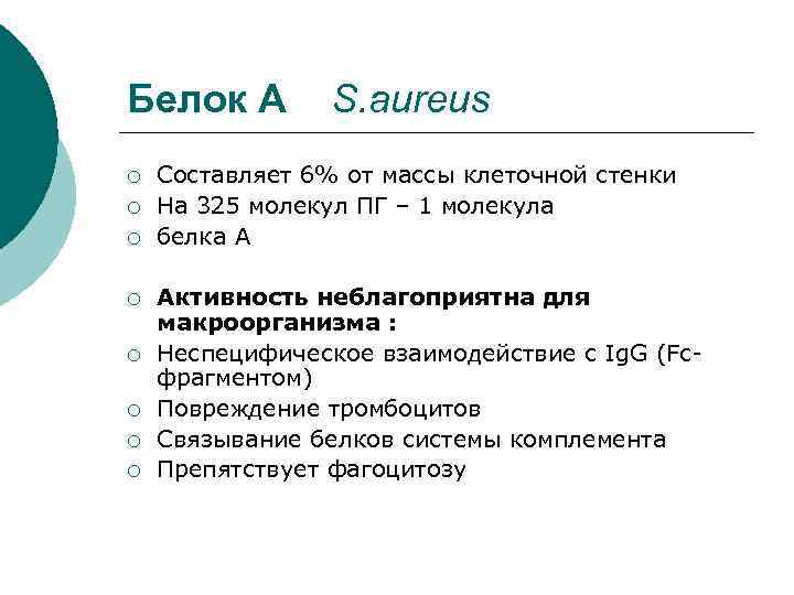 Белок А ¡ ¡ ¡ ¡ S. aureus Составляет 6% от массы клеточной стенки