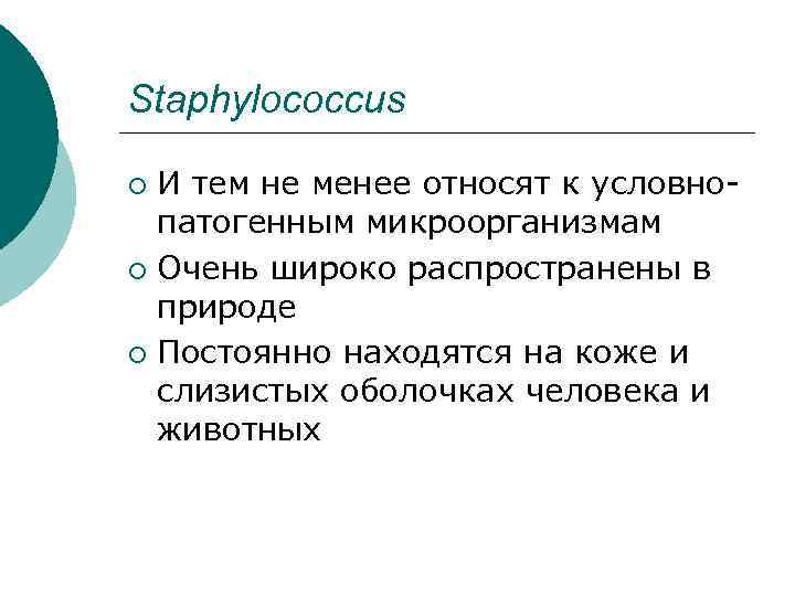 Staphylococcus И тем не менее относят к условнопатогенным микроорганизмам ¡ Очень широко распространены в