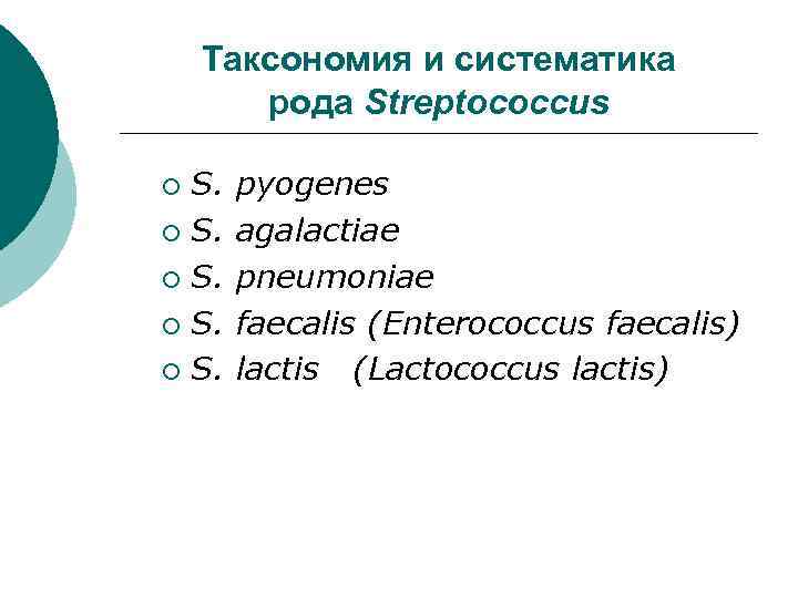 Систематика рода. Стрептококки таксономия. Стрептококк пиогенес таксономия. Стрептококки систематика.