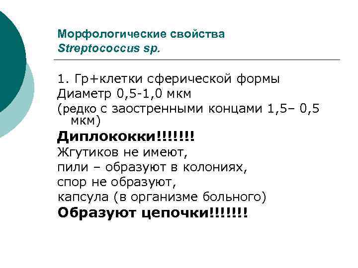Морфологические свойства Streptococcus sp. 1. Гр+клетки сферической формы Диаметр 0, 5 -1, 0 мкм