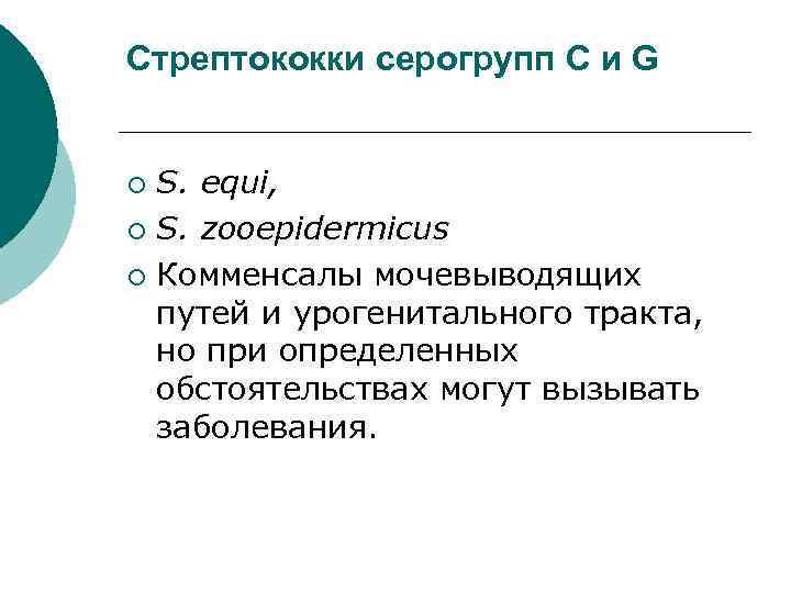 Стрептококки серогрупп С и G S. equi, ¡ S. zooepidermicus ¡ Комменсалы мочевыводящих путей