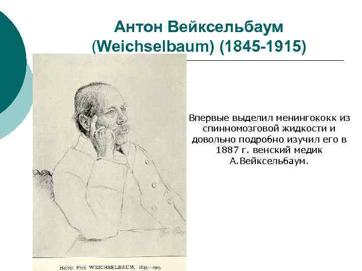 Антон Вейксельбаум (Weichselbaum) (1845 -1915) Впервые выделил менингококк из спинномозговой жидкости и довольно подробно