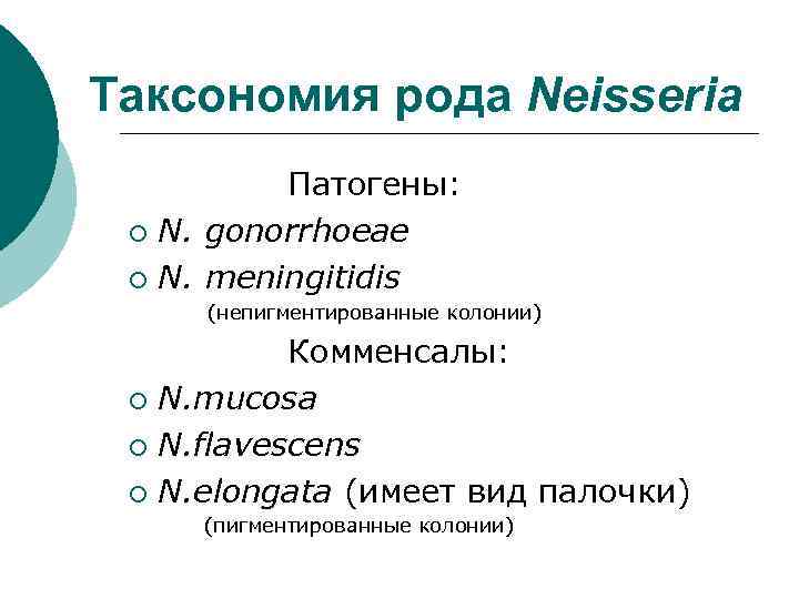 Таксономия рода Neisseria Патогены: ¡ N. gonorrhoeae ¡ N. meningitidis (непигментированные колонии) Комменсалы: ¡