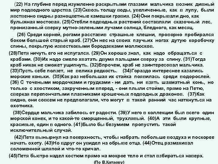  (22) На глубине перед изумленно раскрытыми глазами мальчика возник дивный мир подводного царства.