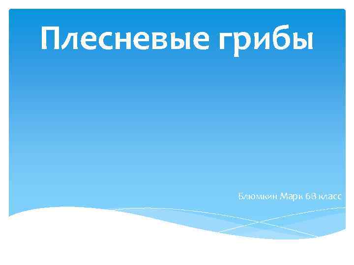 Плесневые грибы Блюмкин Марк 6 В класс 
