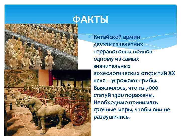 ФАКТЫ Китайской армии двухтысячелетних терракотовых воинов одному из самых значительных археологических открытий XX века