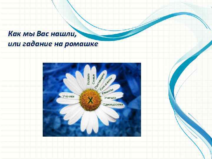 Как мы Вас нашли, или гадание на ромашке 