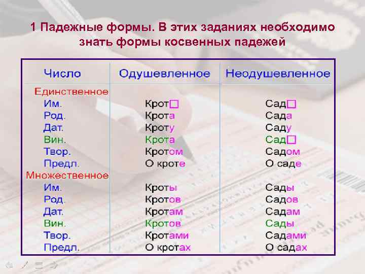 1 Падежные формы. В этих заданиях необходимо знать формы косвенных падежей 